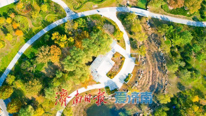 一年四季 泉在济南丨秋暮意正酣 华山湖公园秋意正浓