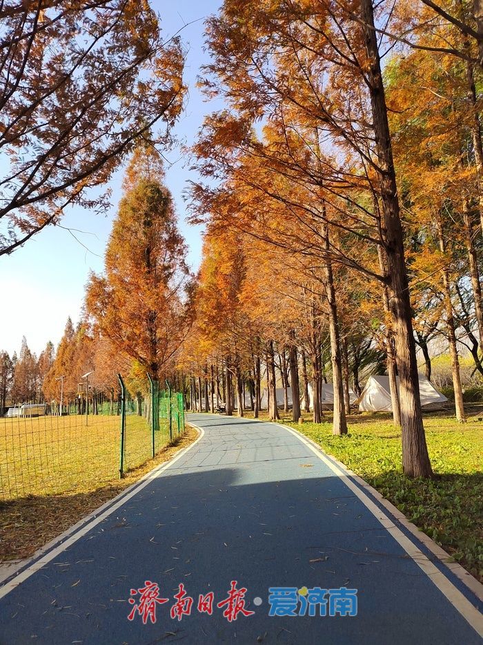 今年前10个月，济南PM2.5同比改善17.1%