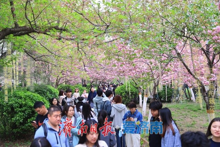 假期最后一天，济南这些地方不要错过！