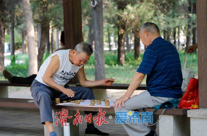 免费享绿意！济南森林公园化身市民消夏运动乐土