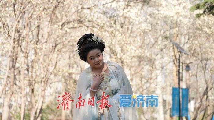 玉兰花再次凭实力出圈，“花” 式打卡等你赴约