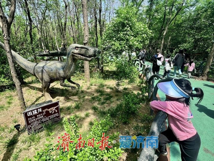野趣盎然动物园