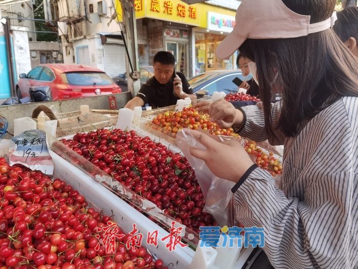 “果盘子”上新啦！济南樱桃集中上市，价格亲民美味诱人