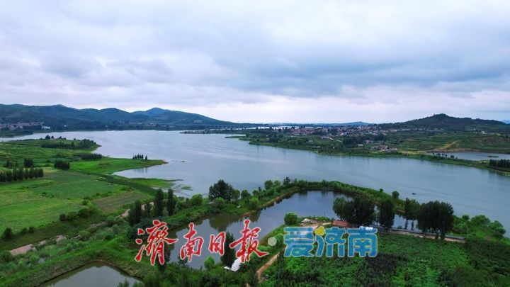 一年四季 泉在济南丨雨后大冶水库烟雨朦胧白鹭飞