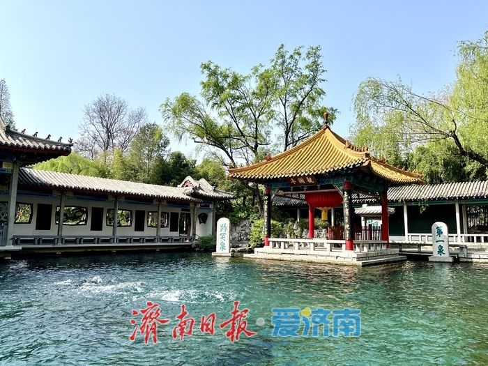 雨雪过后“泉欢腾”！济南趵突泉、黑虎泉迎来“两连涨”