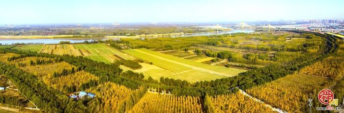 走！去槐荫，当一天“城市农夫”