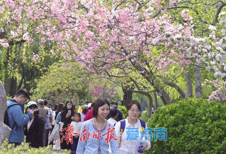 不负好春光！泉城踏青赏花正当时