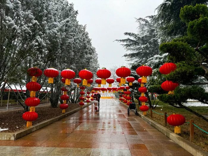 “泉”在济南过大年｜公园景区“盛装打扮”准备就绪，为市民游客奉上新春狂欢