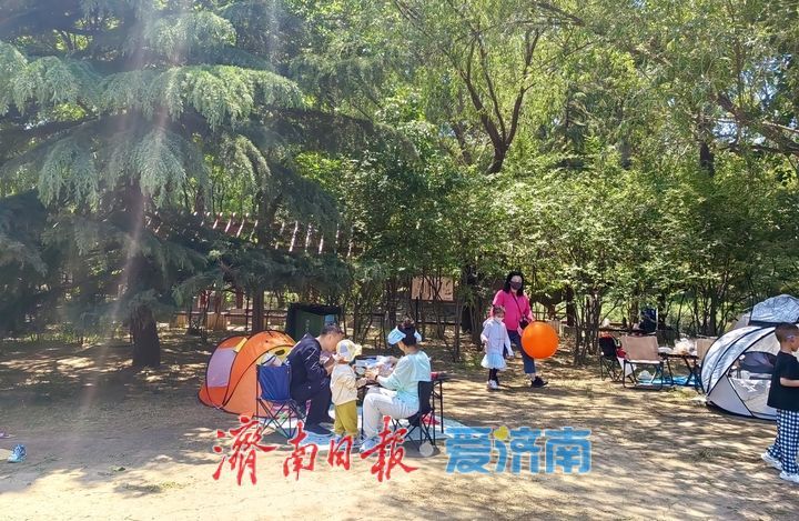 一年四季 泉在济南｜搭帐篷、享野餐，市民乐享五一慢时光