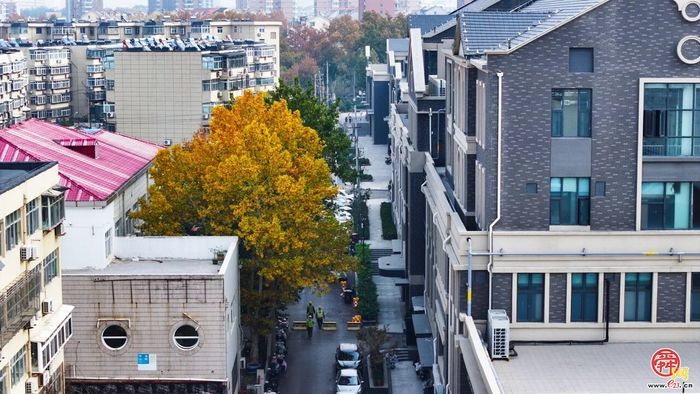 历下区南仓街人行道改造工程完工