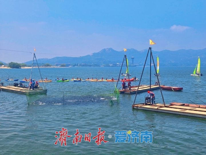 鱼跃满舱迎盛夏！济南雪野湖开渔捕鱼绘就生态丰收图景