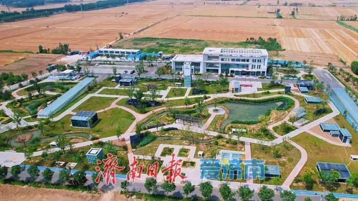 污水厂“喝”上了豆浆？记者探访：“废水”这样变“活水”