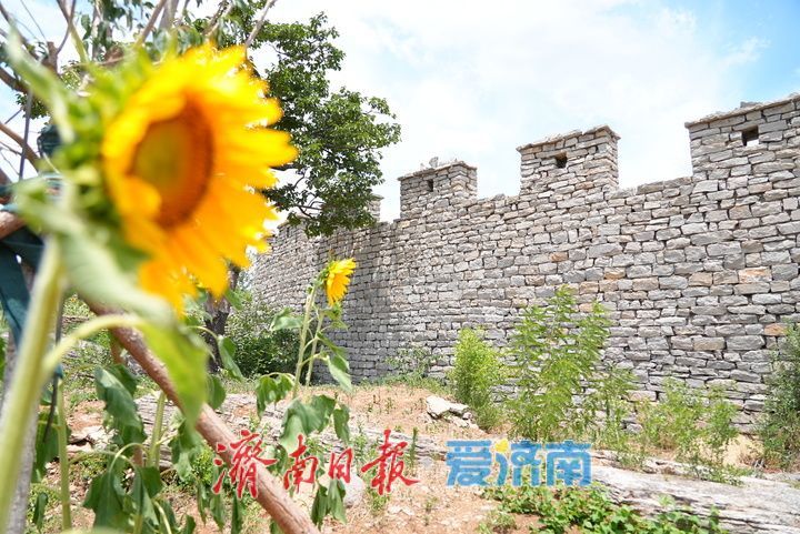 一年四季 泉在济南丨千年雄关花海盛放，古长城焕发新生机