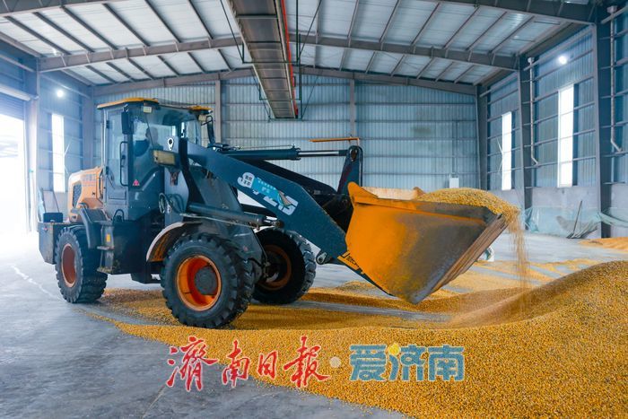 辐射7.5万亩，日烘1800吨：山东粮食烘干“旗舰”已就位，迎战阴雨天气