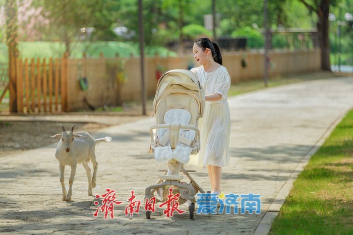 一年四季 泉在济南丨鲜花港杉林水乐园、杉水间营地开业,解锁夏日清凉潮玩法