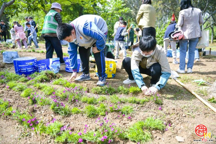 不负春日好时光 植绿护绿共前行——济南市春季全民义务植树活动火热进行中