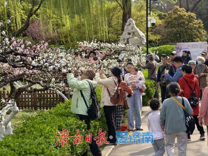 一年四季 泉在济南丨百花公园碧桃盛开