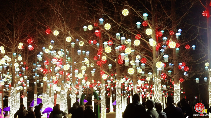 新春泉城 年味“灯”场！