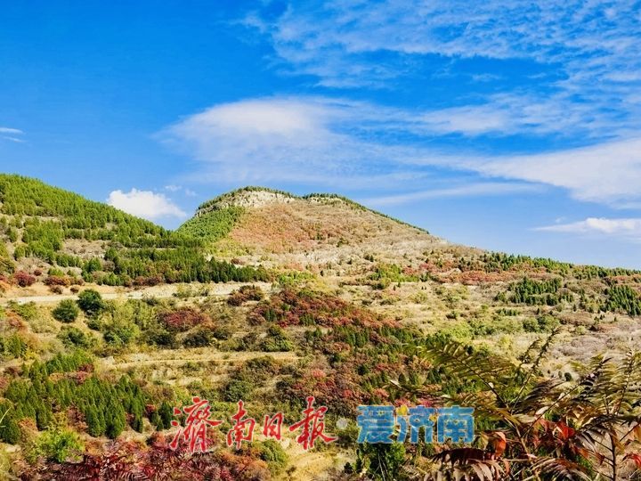 蓝天白云作幕 济南劈山秋景入画来