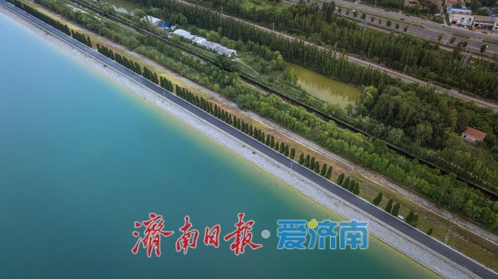 一年四季 泉在济南丨济南鹊山水库：生态美景绘就城市“绿意长卷”