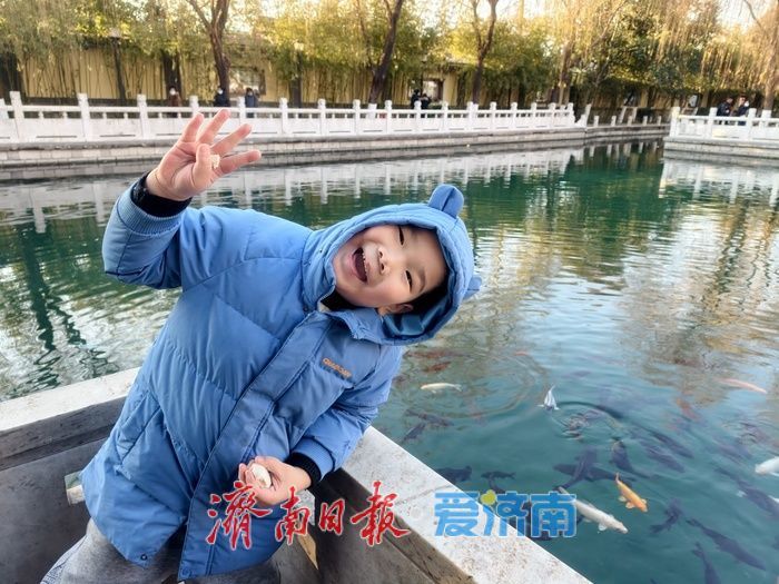 济南珍珠泉碧水锦鲤醉游人