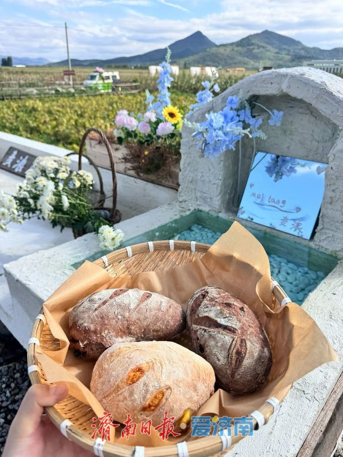 济南村咖试营业即“出圈” 激活乡村消费新活力