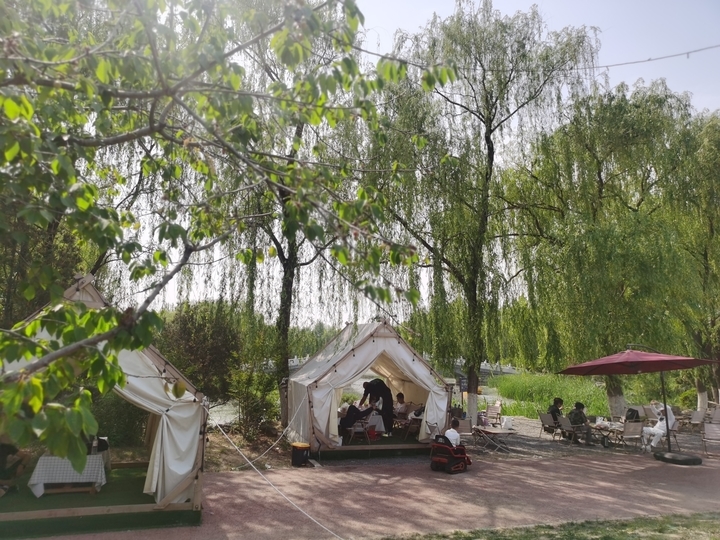 近郊游好去处！探秘济南鲜花港新潮打卡驿站