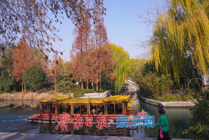 一年四季 泉在济南丨大明湖四象限机位 褚红杉林美到出圈