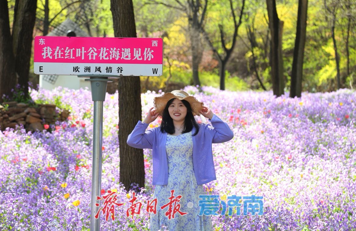 治愈系风景！在红叶谷欧洲风情谷，看漫山紫花如浪