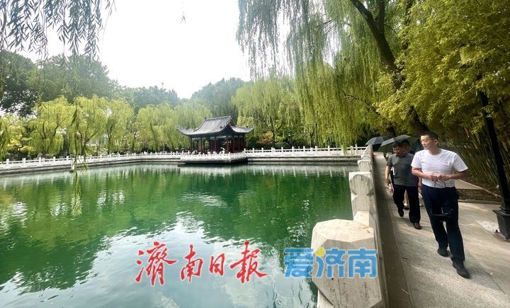 一年四季 泉在济南｜泉边夏日 戏水纳凉好景致