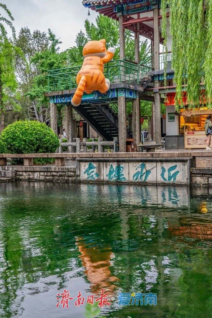 古园新景，萌猫亮相