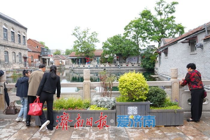 一年四季 泉在济南｜泉涌鱼游花相伴！雨后王府池子焕新姿