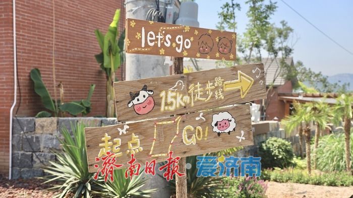 济南这个“网红村”，凭什么逆袭？