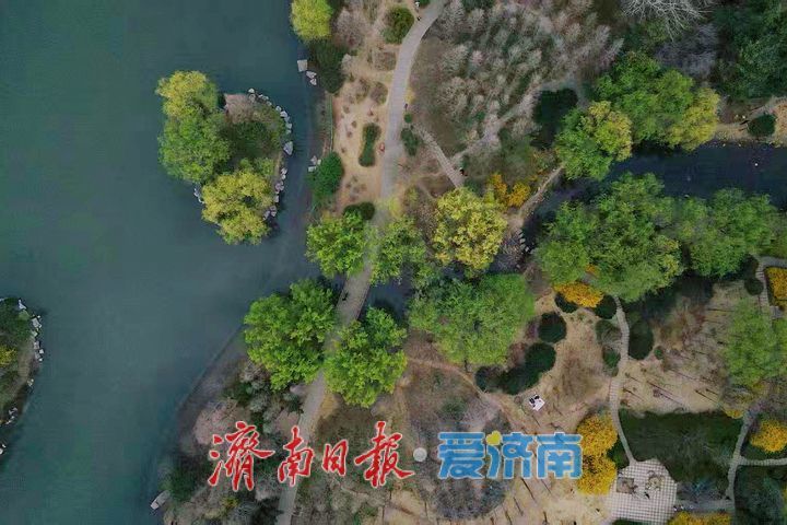 一年四季 泉在济南丨森林公园春色浓 生态美景入画来