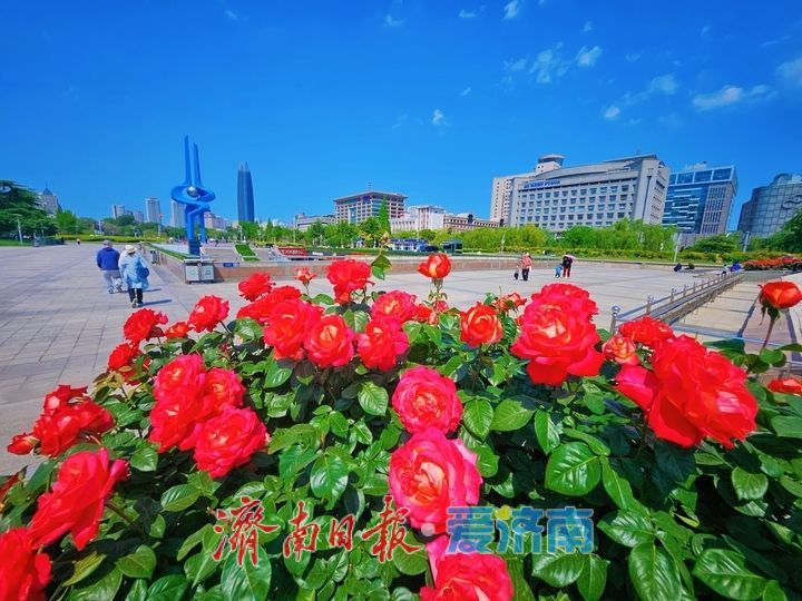 万株鲜花扮靓“大客厅”迎五一