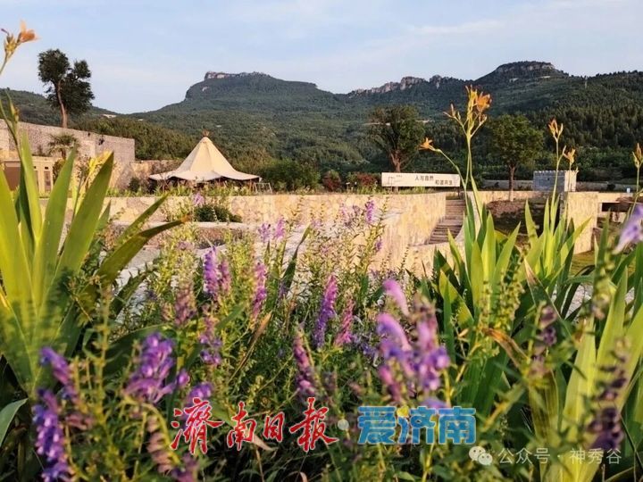 乡野焕新玩法 慢游点燃假日 国庆假期泉城乡村微度假成出游主流