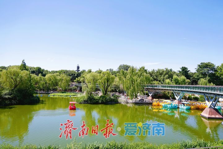 夏日游园正当时 满园清风入画来