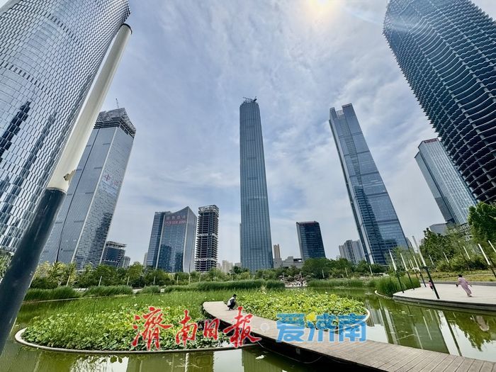 一年四季 泉在济南丨济南CBD荷花湖荷花盛放，绘就夏日美景