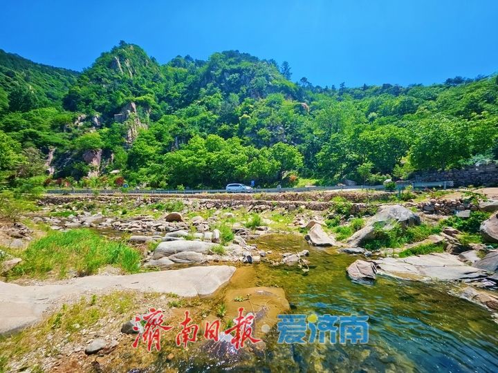 草木葱茏满目新 邂逅山野好风光