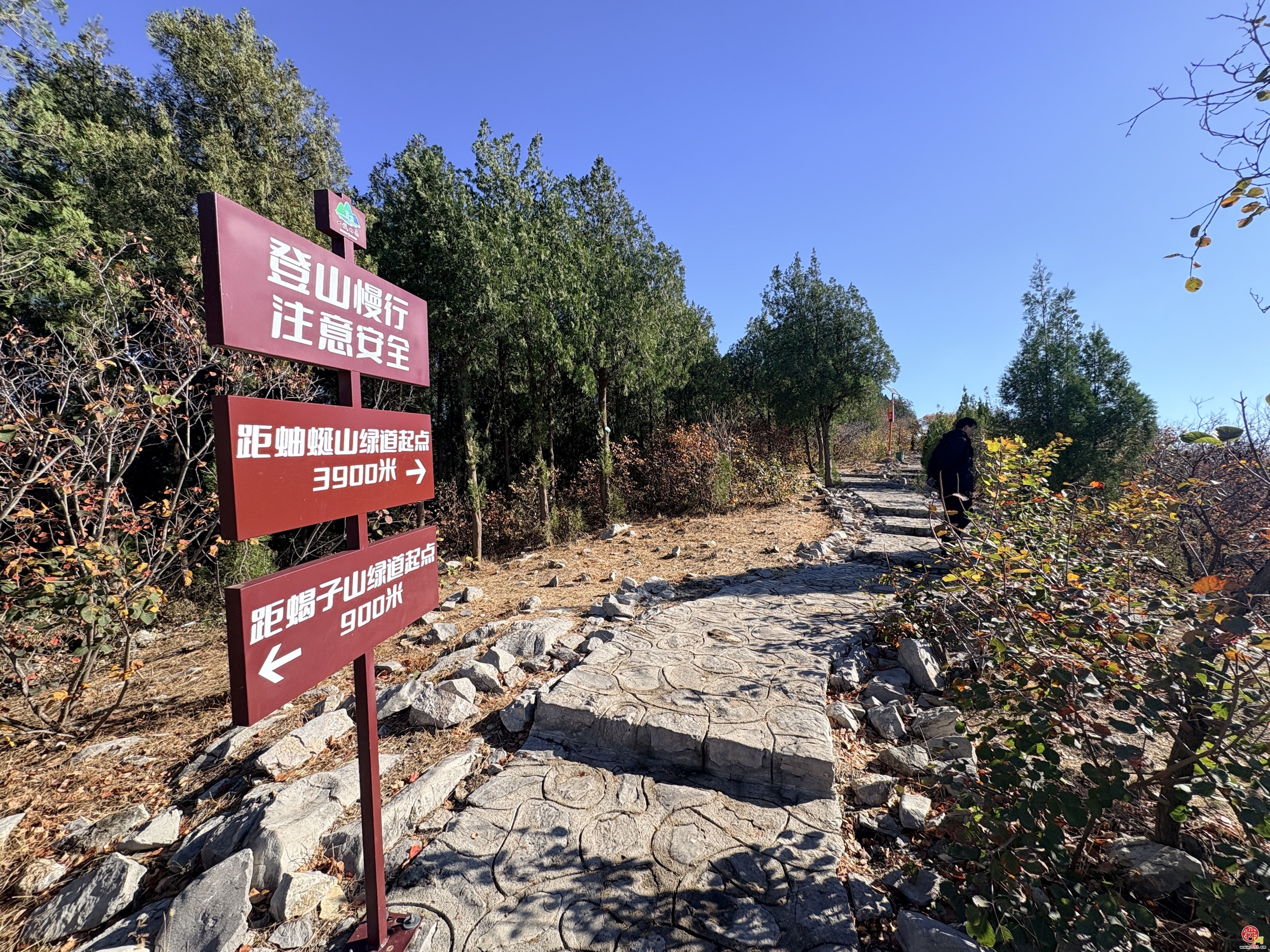 济南蝎子山“一山两色”景观引客来 服务设施同步升级