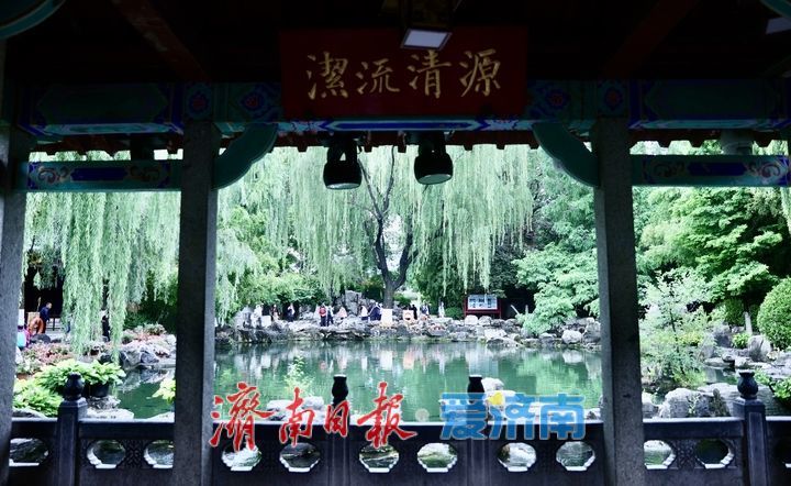 水位稳居29米以上，雨中赏“趵突腾空”