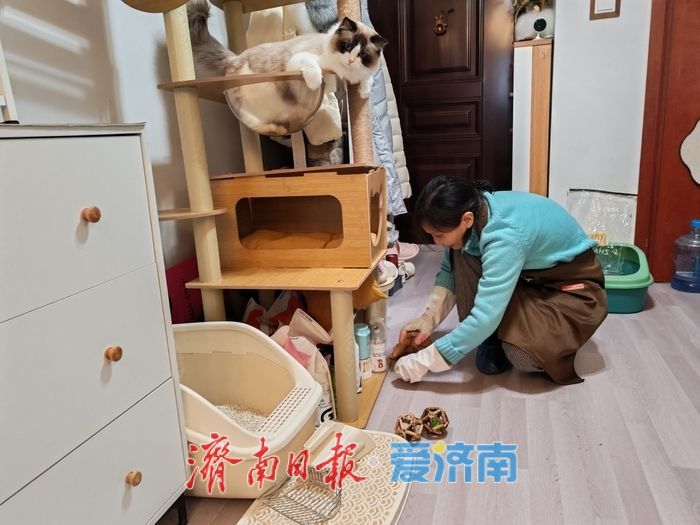 春节消费观察｜上门服务成为“宠物经济”新潮流