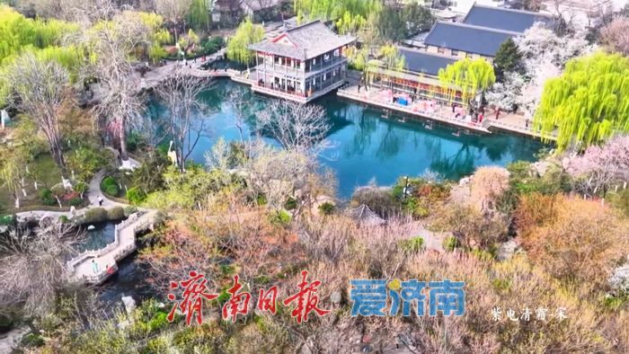 一年四季 泉在济南丨龙潭春晓，泉韵生香
