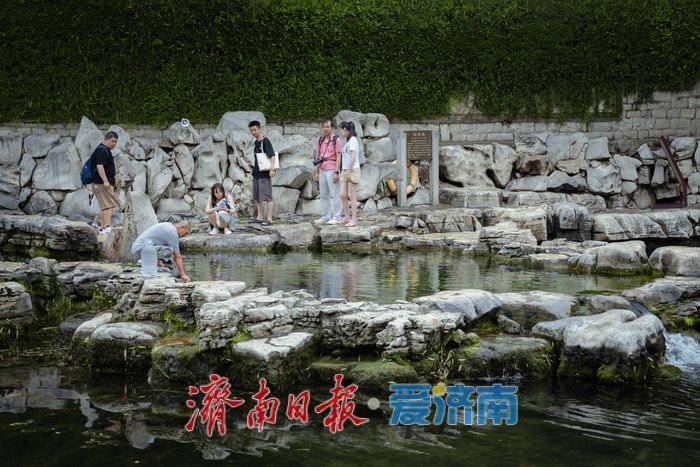 一年四季 泉在济南｜雨后黑虎泉畔，市民取水赏景尽享清凉