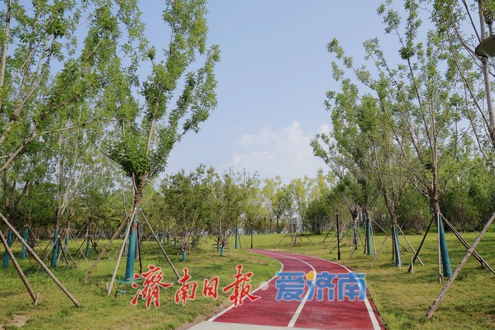 昔日河沟变身生态廊道