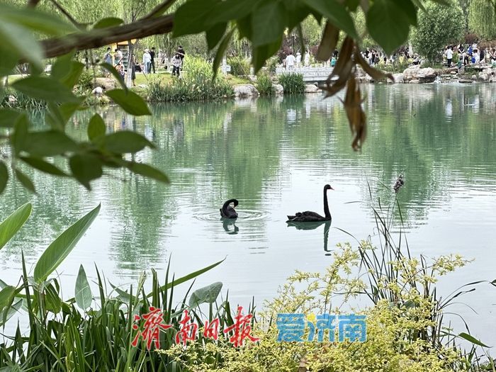 清泉潺潺，白泉公园好消夏