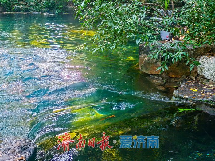高水位赋能泉城景观 濯缨池亲水漫步成消暑热门