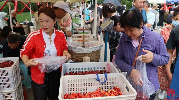 “樱”有尽有！脆甜爆汁获泉水人家C位选手