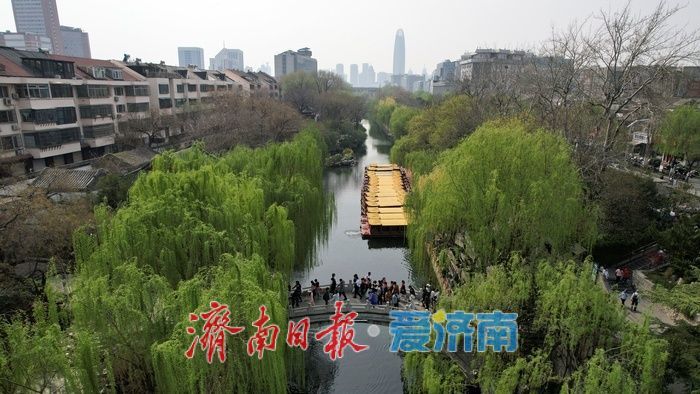济南护城河畔春意浓