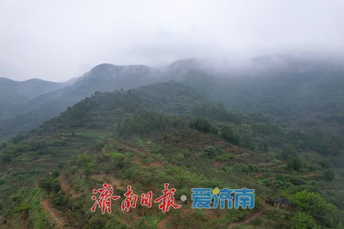 秋雨漫雪野 青山入画来